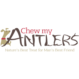 Elk Antlers - Chew My Antlers