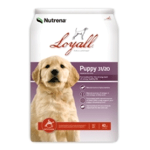 Puppy Formula Loyall, puppy formula,