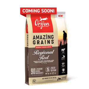 ORIJEN Amazing Grains Regional Red Dog Food 22.5lb orijen, dog, dog food, amazing grains, grain, regional red