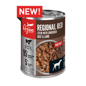 ORIJEN Regional Red Stew Pate 12.8oz 12 Case orijen, dog food, Regional red, stew, canned